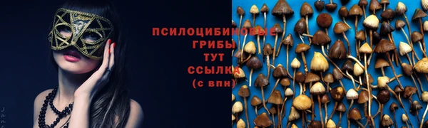а пвп мука Кинешма