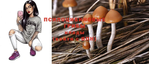 не бодяженный Киренск